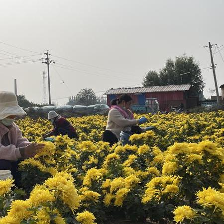 大红火商城交易实测,如何快速变现装备不封号? 大红火商城交易实测,如何快速变现装备不封号?
