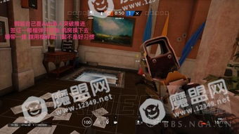 彩虹岛视频实战，2025年高玩如何利用录像逆袭