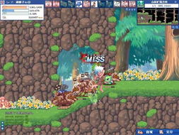 彩虹岛官方网站2026年最新下载入口在哪里