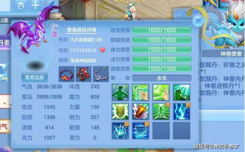 小龙妹全方位解析,从宠物培养到玩家认证的实战攻略 小龙妹全方位解析,从宠物培养到玩家认证的实战攻略