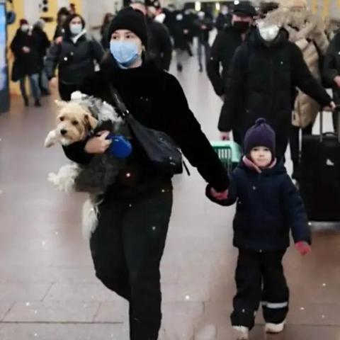 地铁玩家集体大撤退，《和平精英》策略太狠新招频出