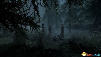 上古卷轴5MOD画面升级，极致视觉盛宴全新呈现