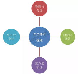 贝娜类型深度解析，2026年实战攻略与隐藏机制揭秘