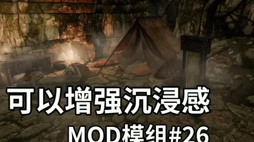上古卷轴5MOD安装避坑指南，2026年SKSE64与MO2终极配置