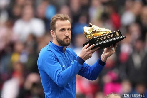 《凯恩遗产新篇章:崛起美术革新引领潮流》 《凯恩遗产新篇章:崛起美术革新引领潮流》