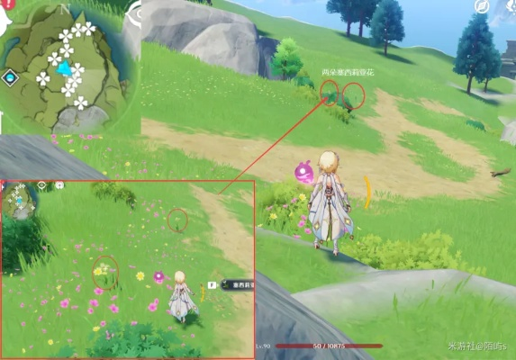 塞西莉亚苗圃怎么开?原神种植解锁与采集路线图鉴 塞西莉亚苗圃怎么开?原神种植解锁与采集路线图鉴