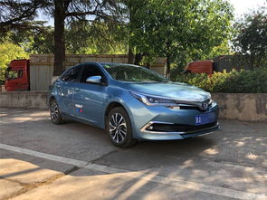 2026情人节玫瑰选品攻略，卡罗拉与朱丽叶的硬核避坑指南