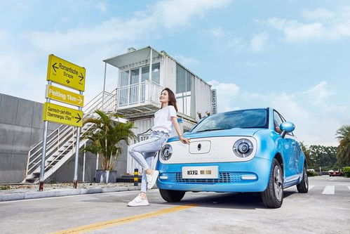 欧拉迪类型怎么玩？2026最新实战攻略与配队技巧