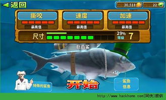 2025年烈咬陆鲨对战全解析，如何有效克制无脑推队战斗哥？