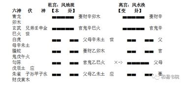 玄秘谱丢失了别慌！2026最新遗失类型与找回绝技