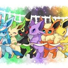 揭秘太阳之伊布,从进化到神级实战教学 揭秘太阳之伊布,从进化到神级实战教学