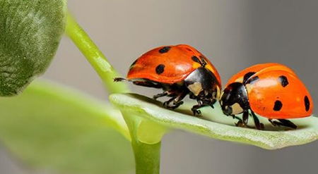 苦等21天!妈妈都喊顺口了,露露卡终于到手啦 苦等21天!妈妈都喊顺口了,露露卡终于到手啦