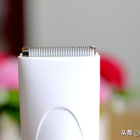 宠物大作战进阶宝典,2025年最新资源分配与T0阵容推荐 宠物大作战进阶宝典,2025年最新资源分配与T0阵容推荐