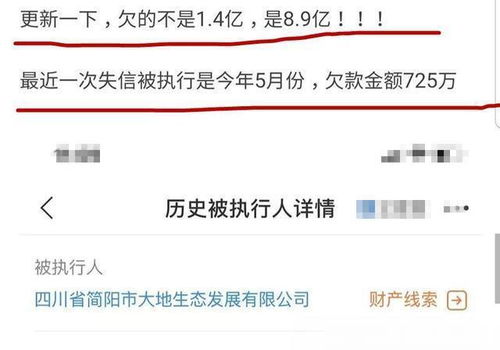 欠款艺人遇法官称一分钟筹集20万,深扒高净值人群的债务博弈与执行内幕 欠款艺人遇法官称一分钟筹集20万,深扒高净值人群的债务博弈与执行内幕