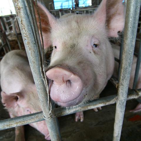 玩家为何偏爱反转操作？核心需求点解析