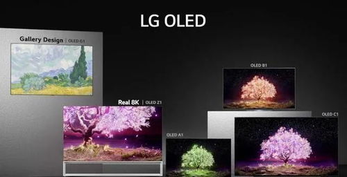 LG G5画廊系列77英寸4K OLED电视亚马逊总统日仅2352美元