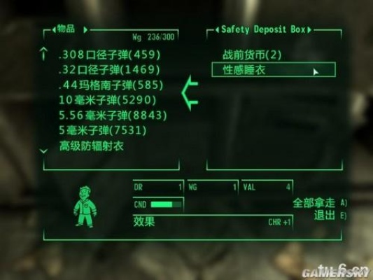 辐射3废土生存指南，S.P.E.C.I.A.L.加点与神装获取秘籍