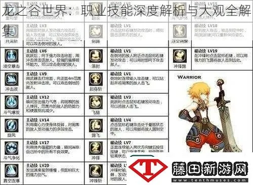 别再瞎练了！龙之谷2026版本职业强度排行榜与就业方向