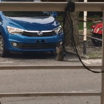 澳洲优惠，悟空与香蕉金刚折扣，游戏时间与金钱的明智投资