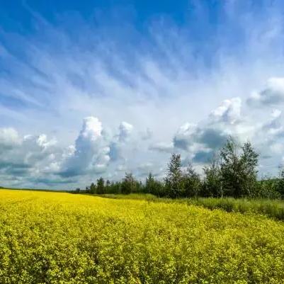 辐射第二季首集解析,25个游戏彩蛋与细节揭秘 辐射第二季首集解析,25个游戏彩蛋与细节揭秘