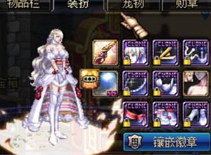 2025年DNF艾露莎宠物值得买吗？深度评测与喂养攻略