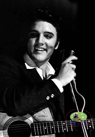 埃尔维斯·普雷斯利演唱会评测，猫王现场魅力再现