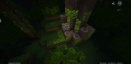 哈兰达生物发光丛林，午夜中的秘境探索