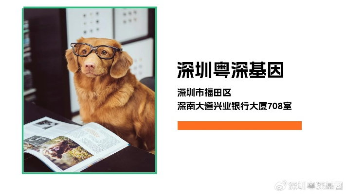 2025开服避坑指南，哪种开sf类型回本最快？