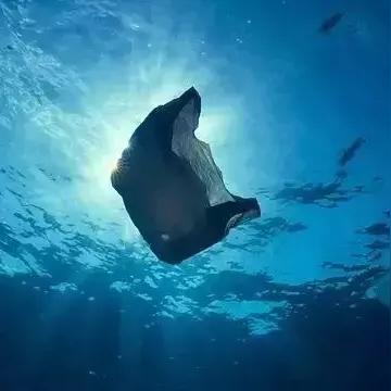 2025天堂2私服测评，从论坛数据看最稳HF版本服