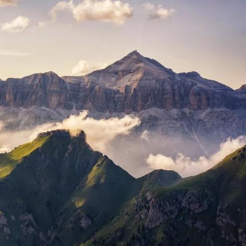 2026网易农场怎么玩？梦幻家园种植与牧场收益最大化