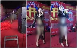 脱衣舞法首作疯狂度直追瑞克和莫蒂，成人动画新巅峰