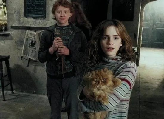 艾玛·沃森多萝茜？哈利·波特铁三角拒演绿野仙踪