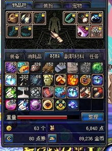 揭秘2025最强虎人构建，掌握这套暴击流，胜率轻松突破90%