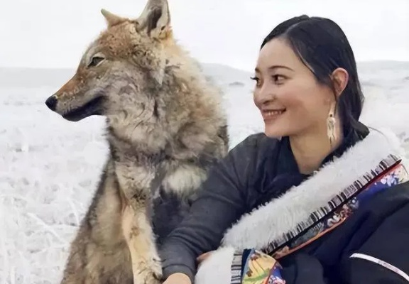 揭秘2026年游戏叙事新趋势，狼的感人故事为何让玩家集体破防？