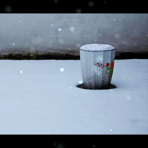 月光酒馆怎么上分?2025最新卡组搭配与通关实战教学 月光酒馆怎么上分?2025最新卡组搭配与通关实战教学