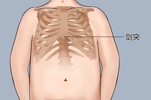 璃骨剑全解析，2025-2026长剑天花板级连招与实战