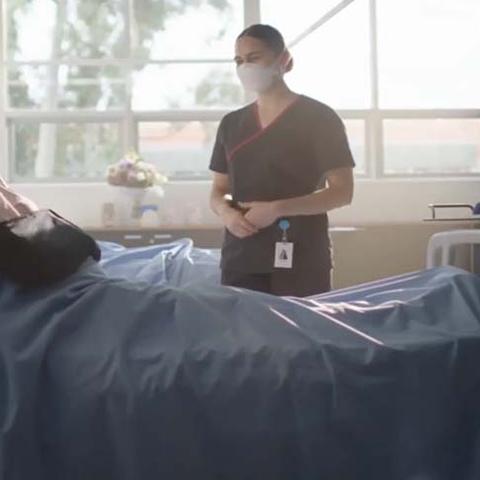 2025-2026地下城漫游加点全解，出血流与TP流实战数据对比