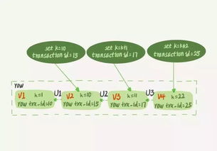托菲尔类型深度解析与实战攻略