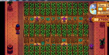 星露谷物语星之果实杰作怎么用？全收益分析与最强酿造攻略