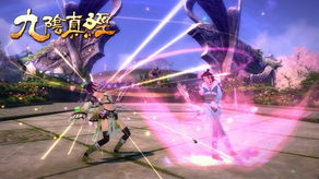 九阴真经移花宫解围怎么选?实战数据揭秘最强类型 九阴真经移花宫解围怎么选?实战数据揭秘最强类型