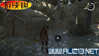 古墓丽影10崛起全收集通关攻略，古墓解谜与生存技巧深度解析