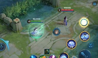 风辅如何选？法尔伽四大队友伤害实测对比