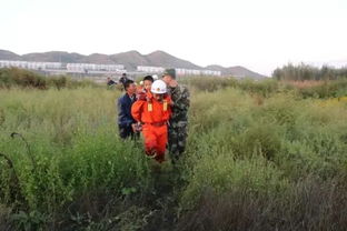 午夜草药学与采矿，危机来临前的新内容