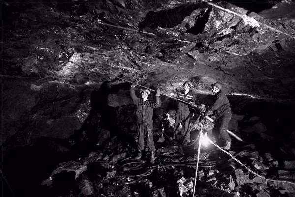 午夜草药学与采矿，新危机应对指南