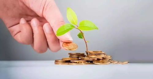 准备迎接额外危机：午夜草药学与采矿有哪些新内容？