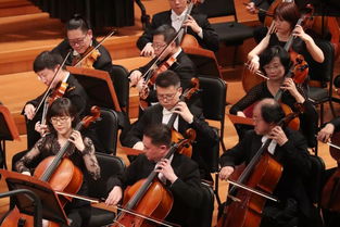 3月10日全球首秀！双城之战浸入式音乐秀抢先体验