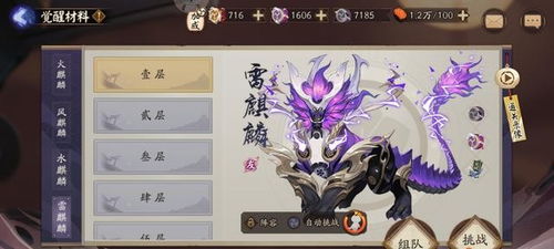 龙枪觉醒类型全解，2026年版本T0级觉醒方案推荐