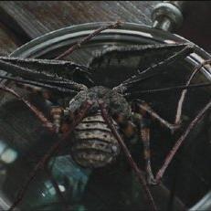 哈利波特4游戏类型全解析，火焰杯为何是动作冒险的巅峰？