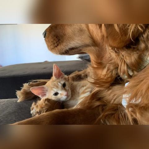 英雄萨姆3 BFE硬核攻略,征服英雄模式与全秘密 英雄萨姆3 BFE硬核攻略,征服英雄模式与全秘密