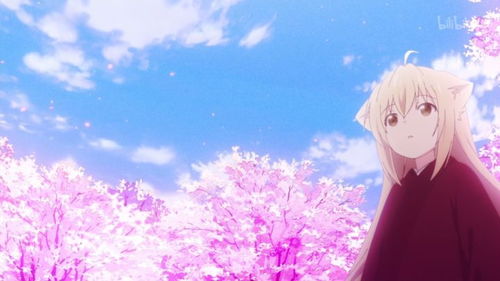 紫花情梦隐藏结局怎么触发?保姆级好感度提升全解析 紫花情梦隐藏结局怎么触发?保姆级好感度提升全解析